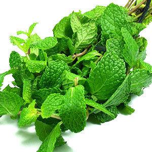 Green Peppermint Oil Extract