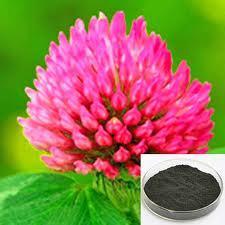 Red Clover Extract Powder Purity(%): 99%