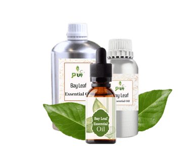 Bay leaf oil