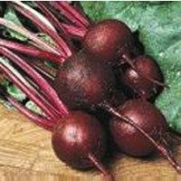 Beetroot Seeds