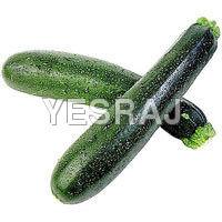 Round Zucchini