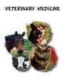 veterinary medicine