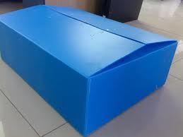  ब्लू पीपी पैकेजिंग बॉक्स