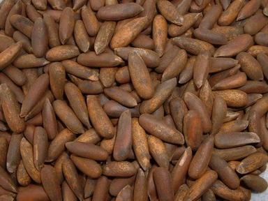 Pine Nuts