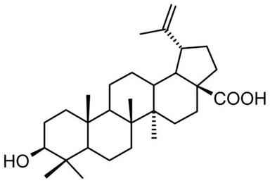 Betulinic Acid C30H48O3