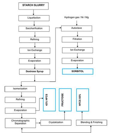 Sorbitol Syrup Machine