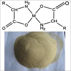 Calcium Glycine Amino Acid Chelate Application: Industrial