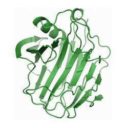 Cellulase Enzyme