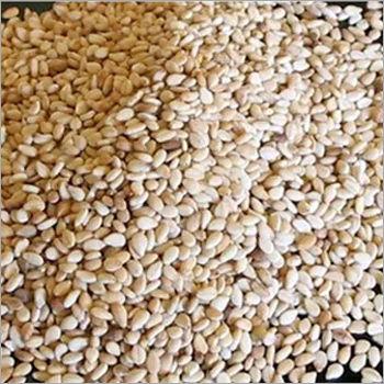 Normal Cultivation Toasted Sesame Seeds