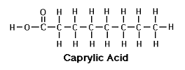Caprylic Acid C8H16O2
