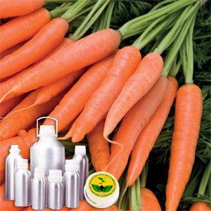 Carrot Tissue Infused Oil Raw Material: Seeds