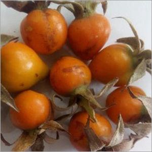 Rosehip Extract Vitamin C Age Group: Suitable For All