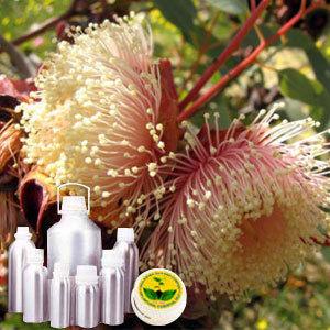 Eucalyptus CO2 Extract Oil