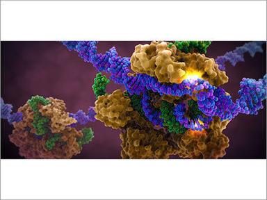 Chemicals Reagents