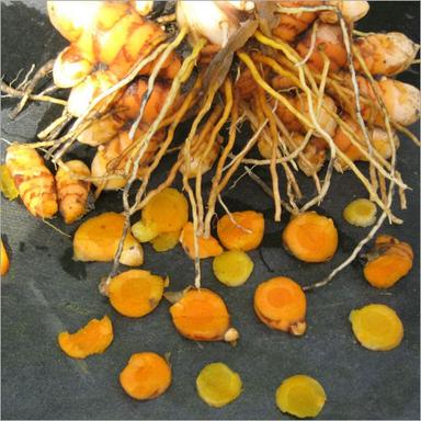 Dried Curcuma Longa (Turmeric) Rhizome