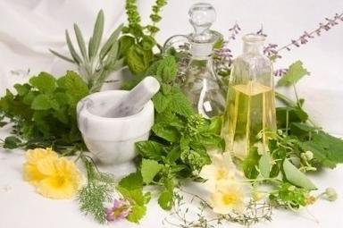 Medicinal Herbs