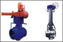 Painted Trunnion Mounted Ball Valves