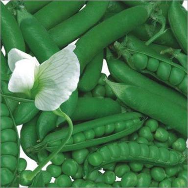 Green Peas Seeds