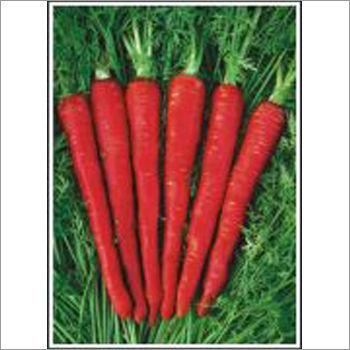 Desi Red - Carrot (Open Pollinated) Seeds