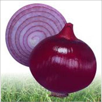 Rose - Onion (Hybrid) Seeds