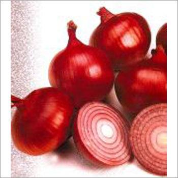 Lal Surakh - Onion (Super Selection)  Seeds