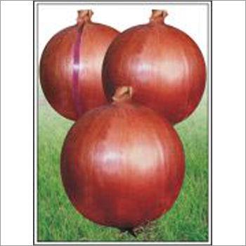 Onion (Hybrid) Seeds