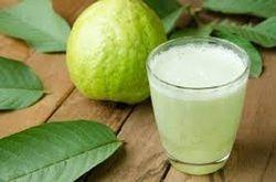 Guava Extract Cas No: 91770-12-6