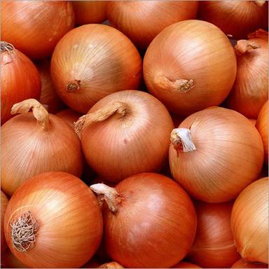 Organic Fresh Yellow Onion Moisture (%): 80 %