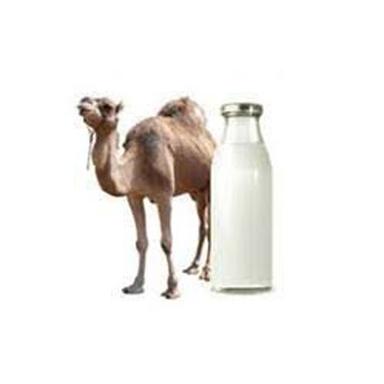 Natural Camel Milk