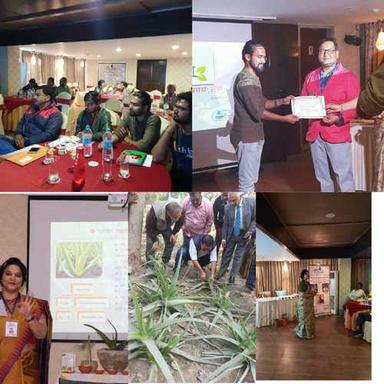 Medicinal Herbs Cultivation Training Program