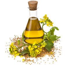 Mustard Essential Oil