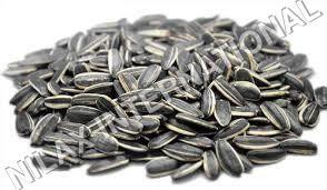 Sunflower Seed Dry Place