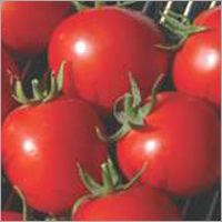 Tomato F1-Dona-55 Grade: Food