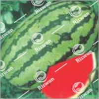 Watermelon F1-Honey-825 Grade: Food