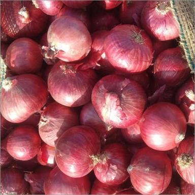 Fresh Red Onion