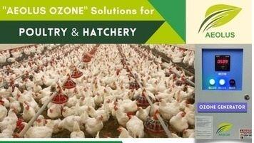 Poultry And Hatchery Ozone System By Aeolus Frequency (Mhz): 50 Hertz (Hz)