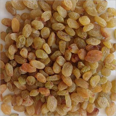 Dried Golden Raisin