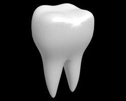 Tooth Model Capacity: 1 Kg/Hr