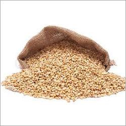 Brown Organic Wheat Grain