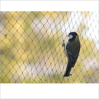 Good Quality Hdpe Bird Protection Net