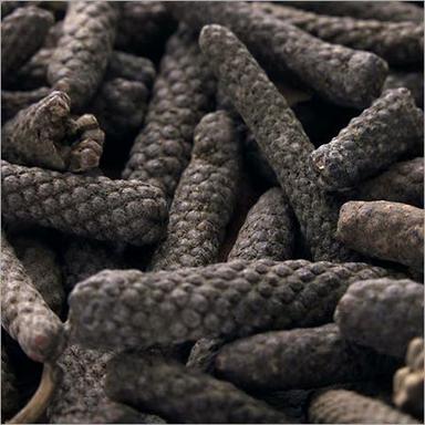 Long Pepper