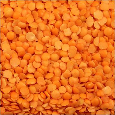 Common Masoor Dal