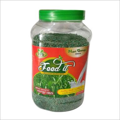 Organic Multicut Fodder Bajra Seeds