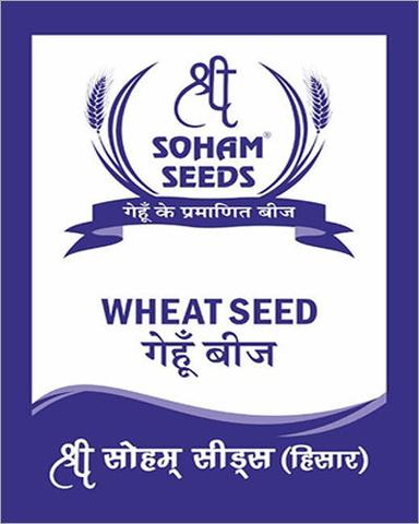 Organic Wheat Grain Seed