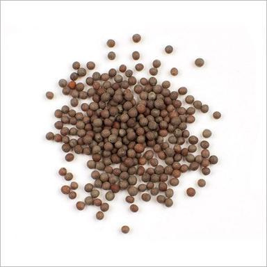Common Brown Mustard Seeds