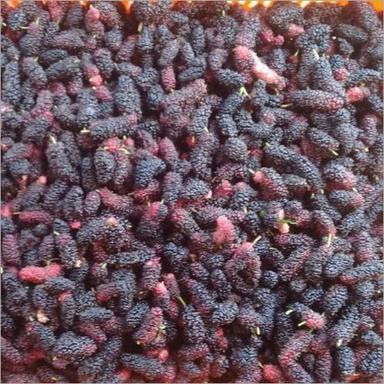 Frozen Mulberry Fruit