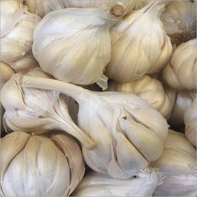 Fresh Garlic Moisture (%): 99%