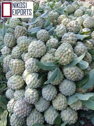 Organic Custard Apples Origin: India