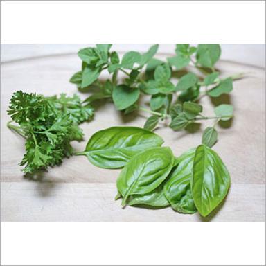 Herbal Product Fresh Herbs