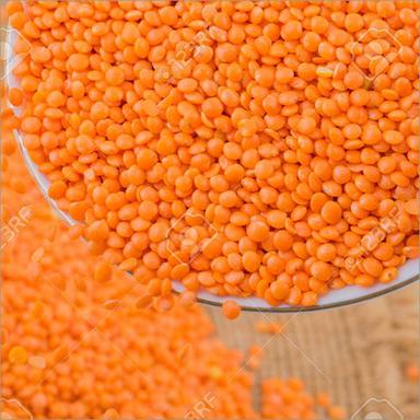 Masoor Dal